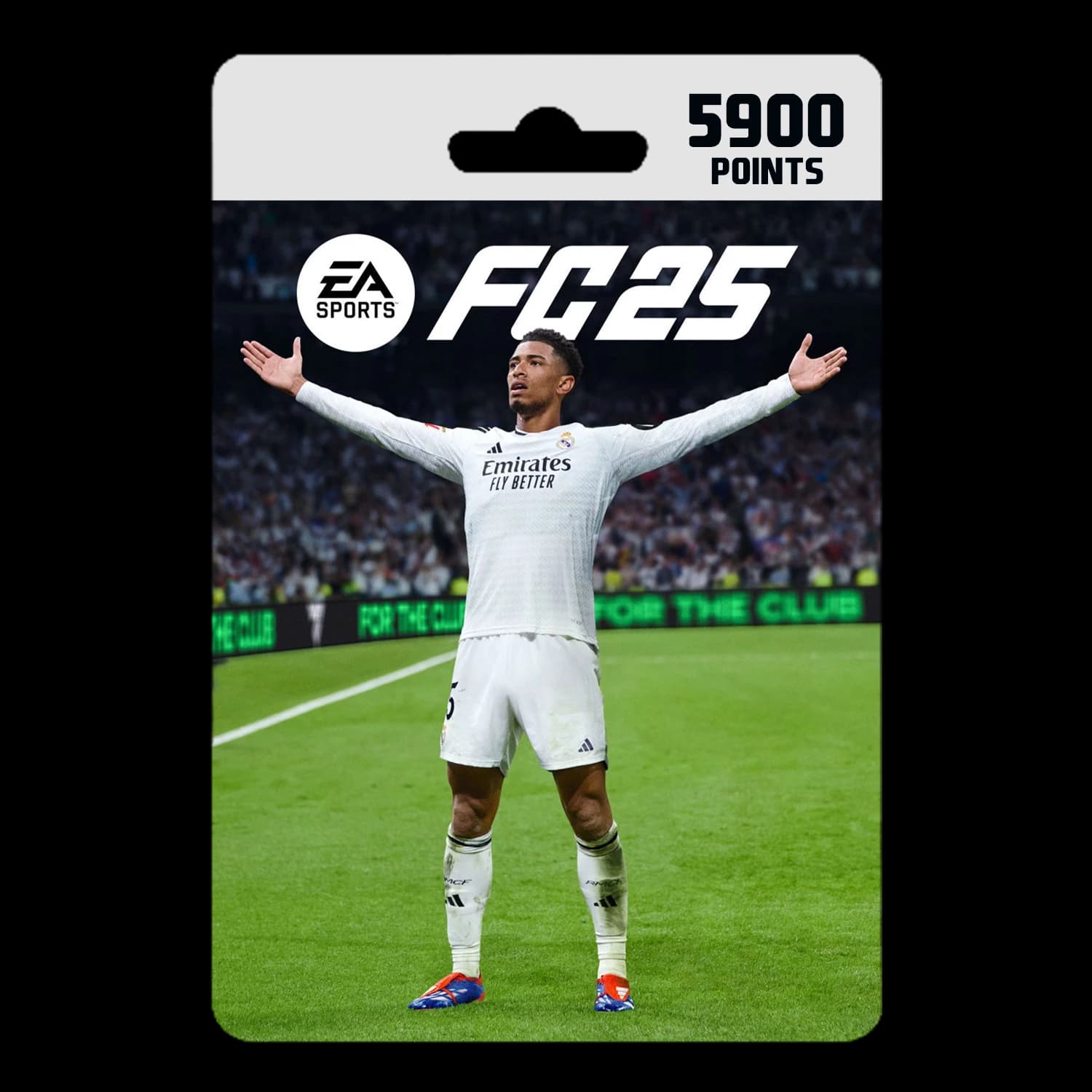 EA FC 25 Points - 5900