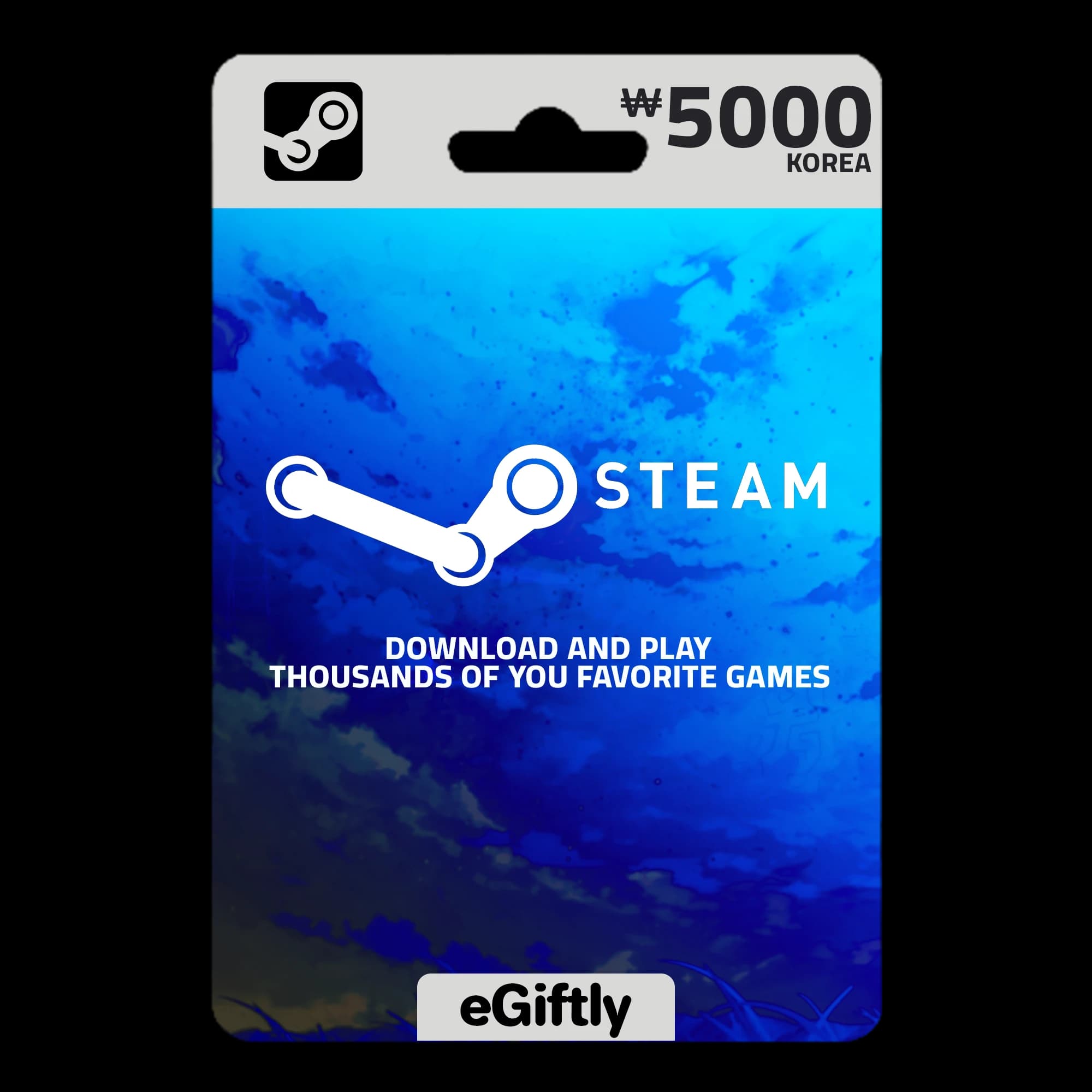 Steam KR 5,000 KRW