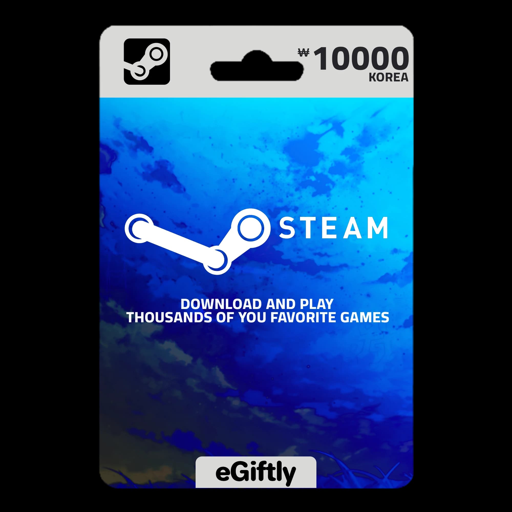 Steam KR 10,000 KRW